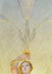 Detail Aurory z 